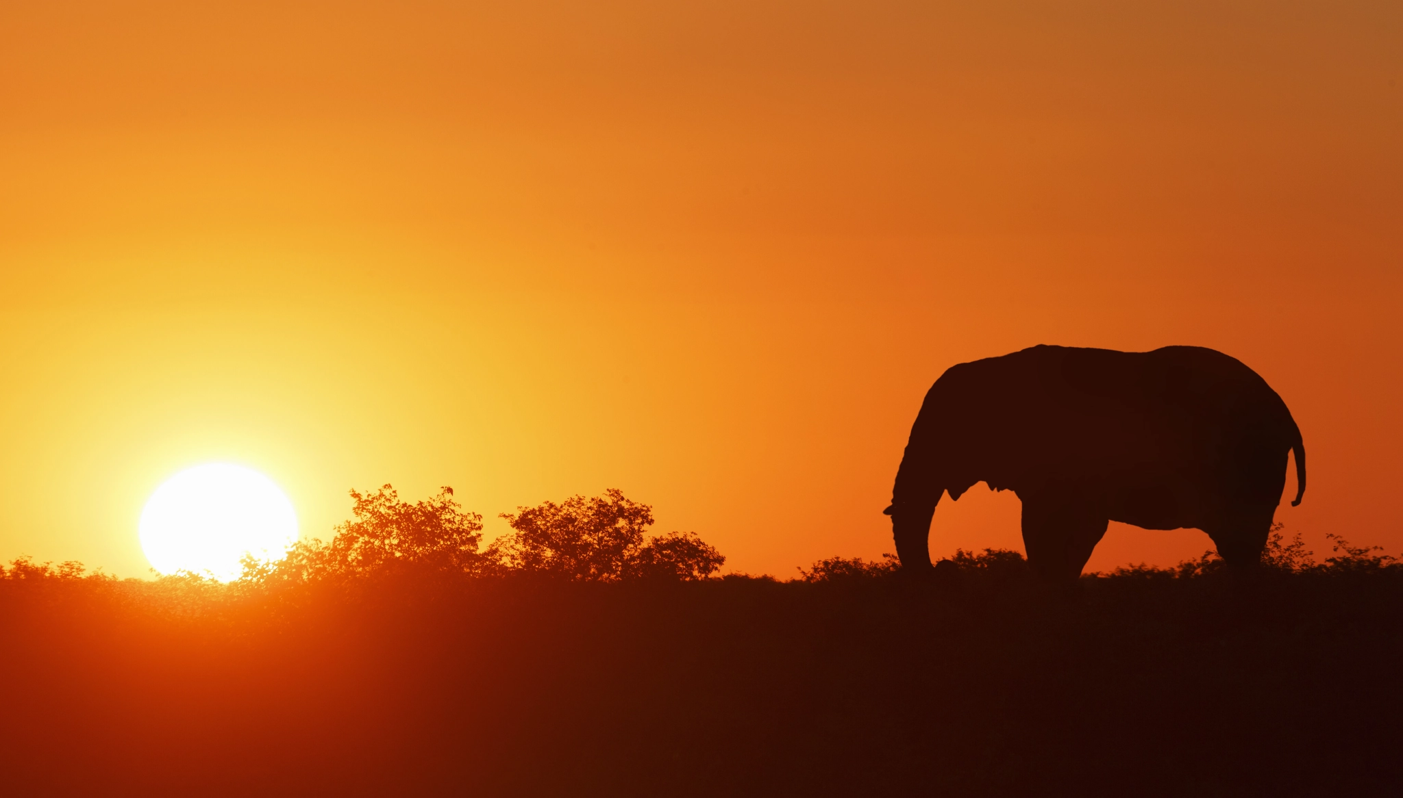 a-eberle africa